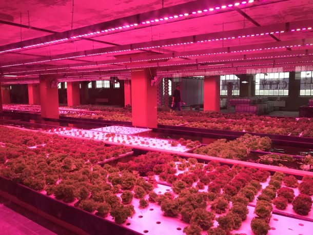 Dutch Design Week 2017 di Eindhoven