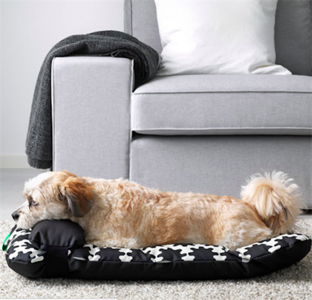 ikea animali domestici