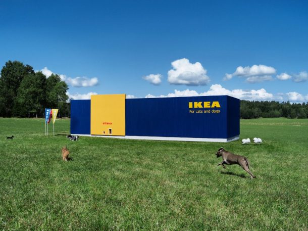 ikea animali domestici