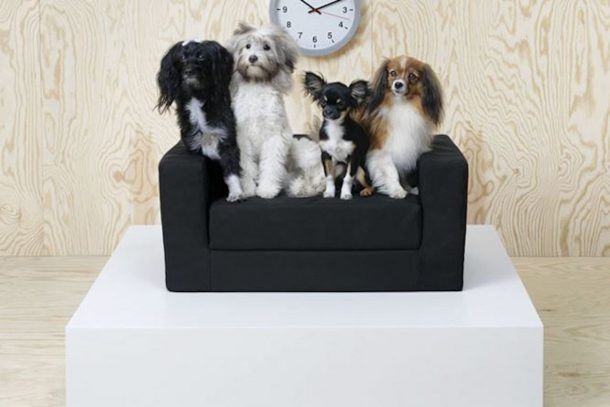 ikea animali domestici