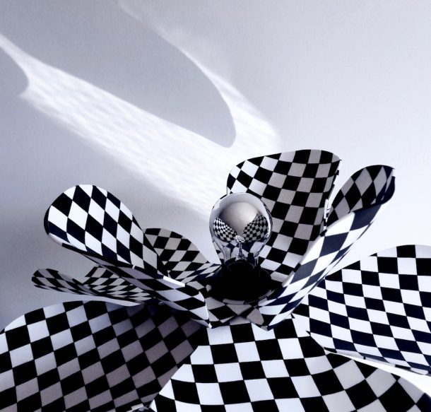 Le lampade Pop si Bloomboom