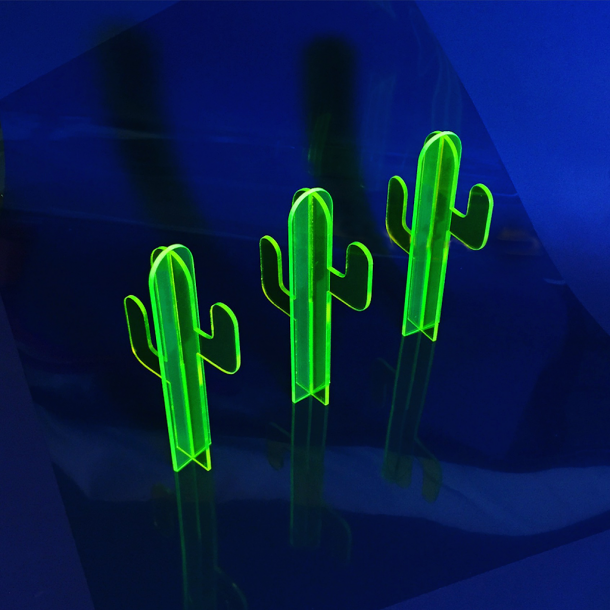cactus fluorescenti