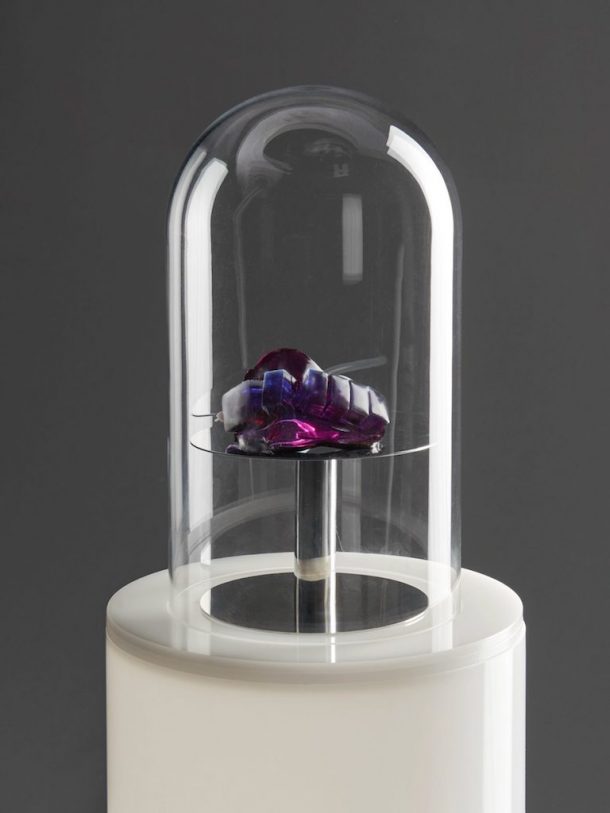 robotica commestibile