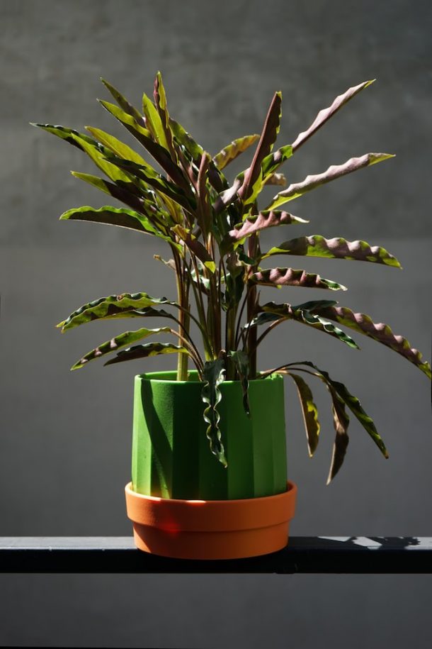 Slow Hand Design: giovani designer thailandesi