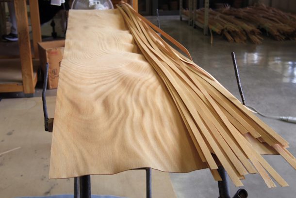 altoparlante wireless