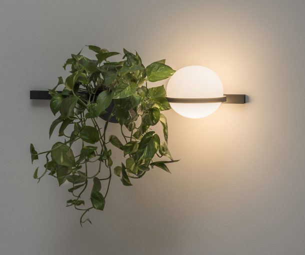 lampada palma