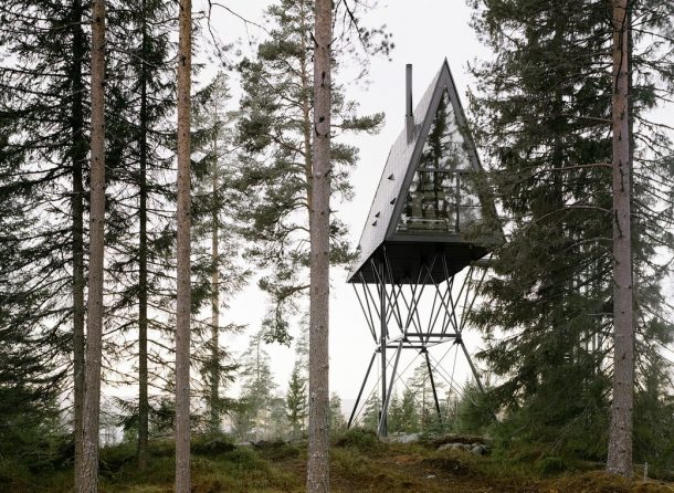 case sugli alberi di design