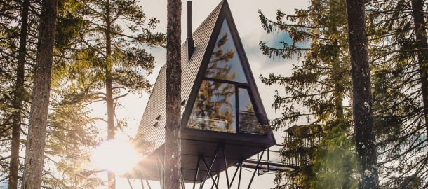 case sugli alberi di design