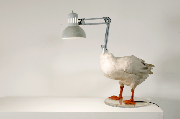 lampade da tavolo