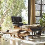 Eames LTR Eucalyptus