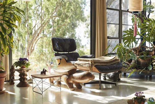 Eames LTR Eucalyptus