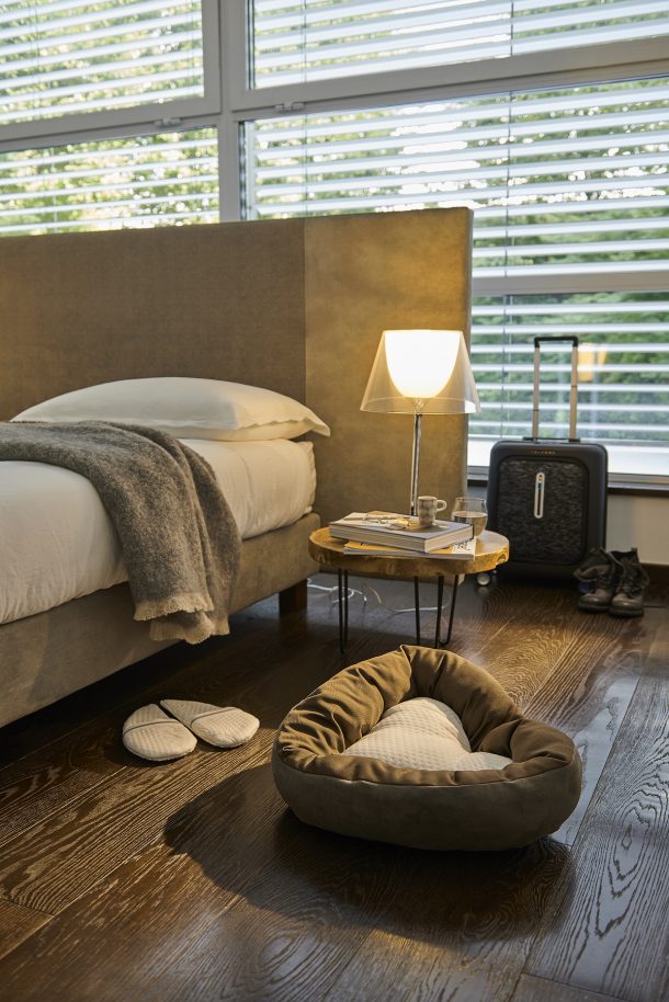 Dorelan I'M A DREAMER