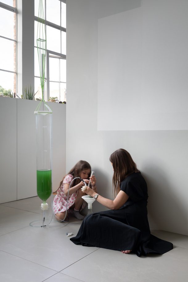 BioBombola, un kit per coltivare in casa le alghe Spirulina