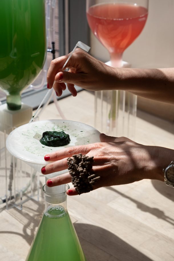 BioBombola, un kit per coltivare in casa le alghe Spirulina