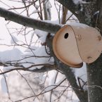 Casette di design per uccelli e mangiatoie per uccelli