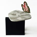 FURROW, Taeg Nishimoto