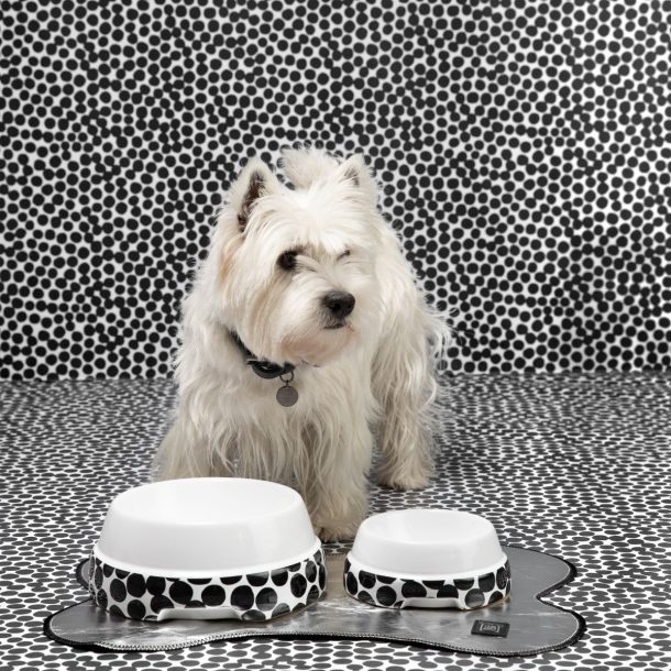 Paola Navone per 2.8 design for dogs
