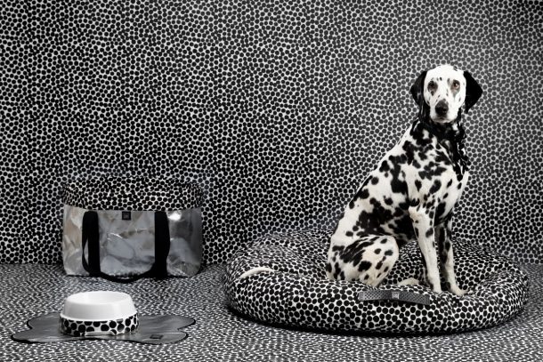 Paola Navone per 2.8 design for dogs
