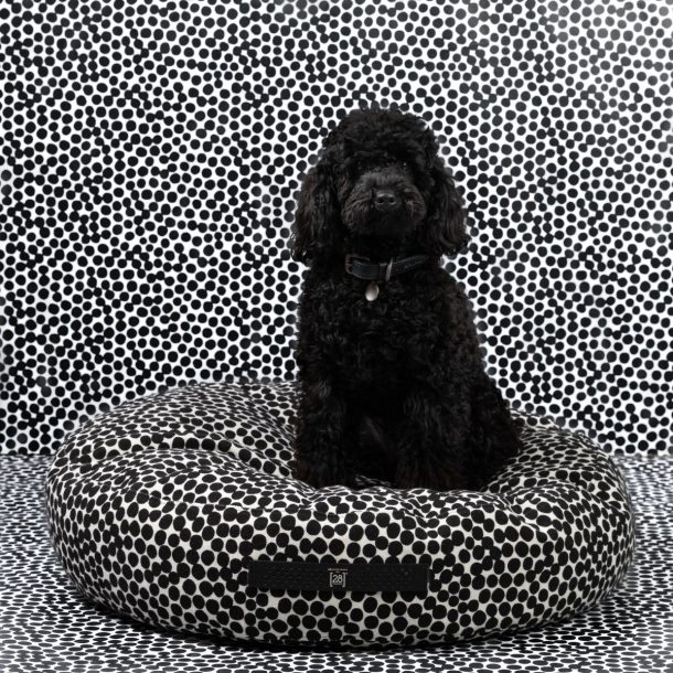 Paola Navone per 2.8 design for dogs