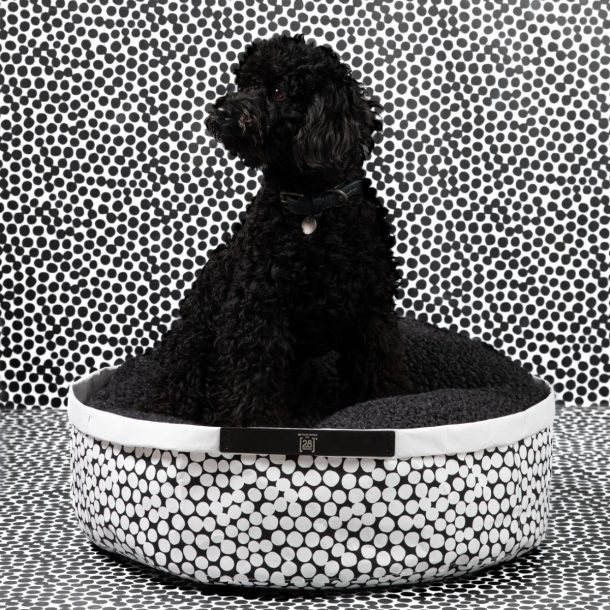 Paola Navone per 2.8 design for dogs