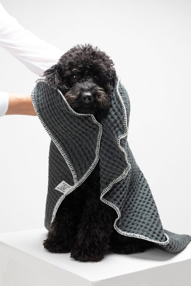 Paola Navone per 2.8 design for dogs