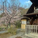 Kyōto YouMe Triennale