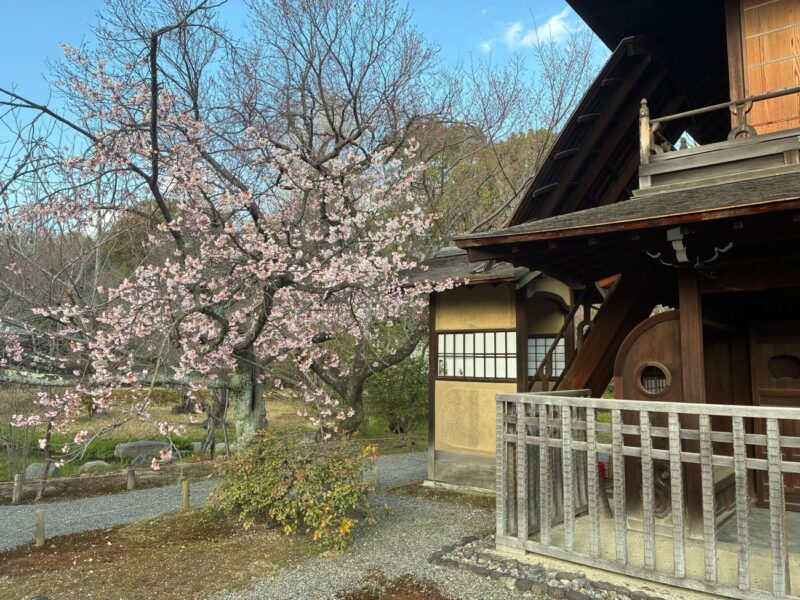 Kyōto YouMe Triennale